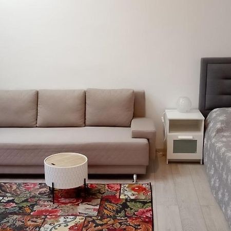 Piata Muzeului 1 Διαμέρισμα Κλουζ-Ναπόκα Εξωτερικό φωτογραφία